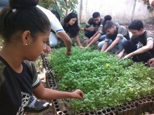 Escola Campo Sementes e Mudas, na Paraíba. Imagem mostra estudante cuidando de horta